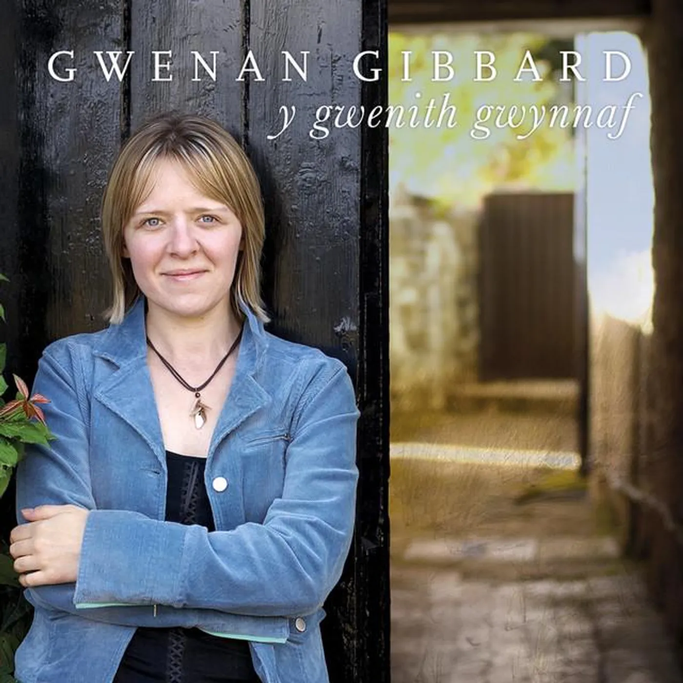 Gwenan Gibbard