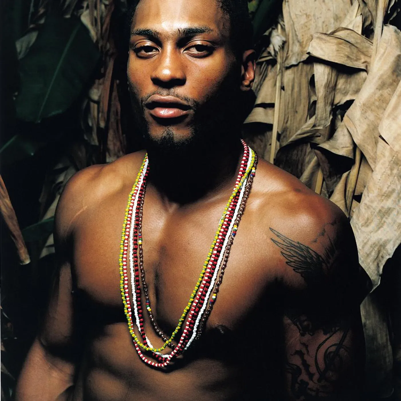 D'Angelo Brand Page