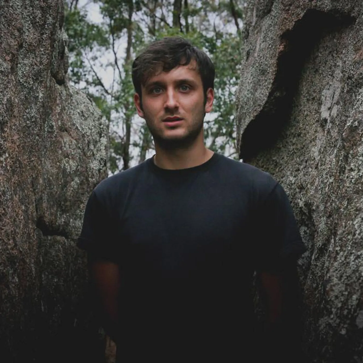 D.D Dumbo Brand Page