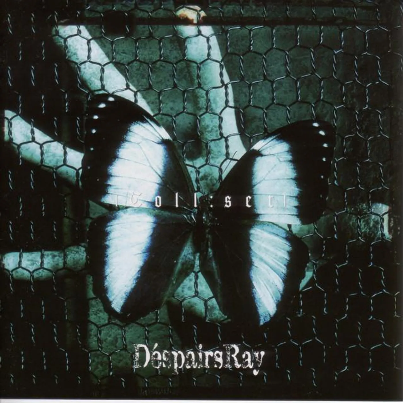 D'espairsRay Brand Page