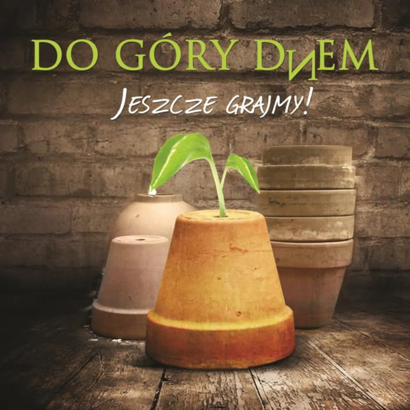 Do Góry Dnem Brand Page