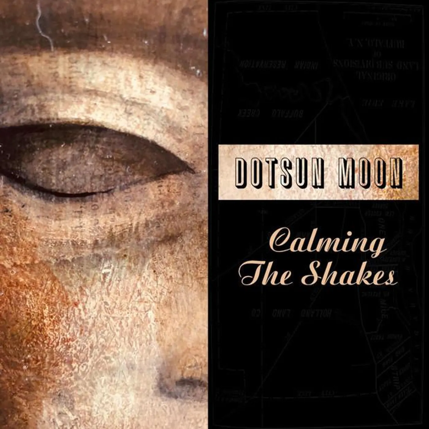 Dotsun Moon Brand Page