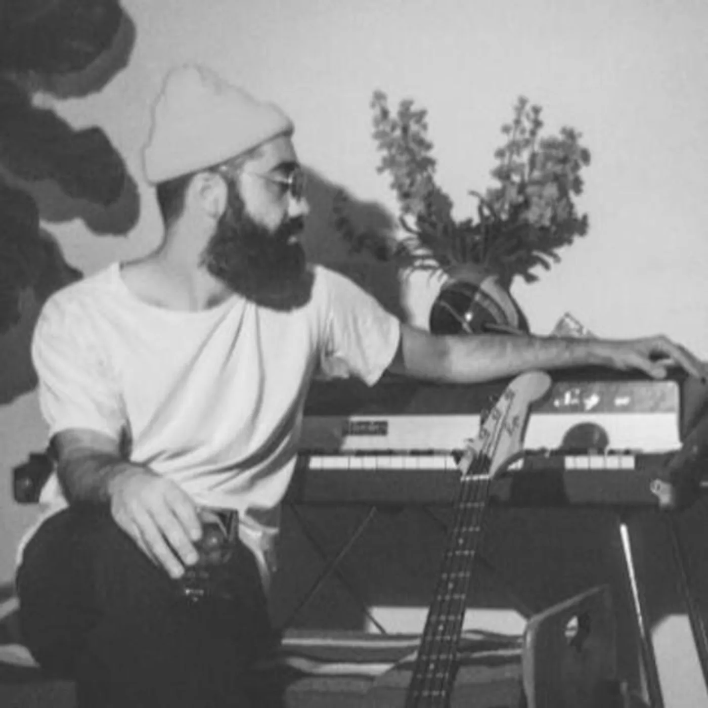 Dougie Stu Brand Page