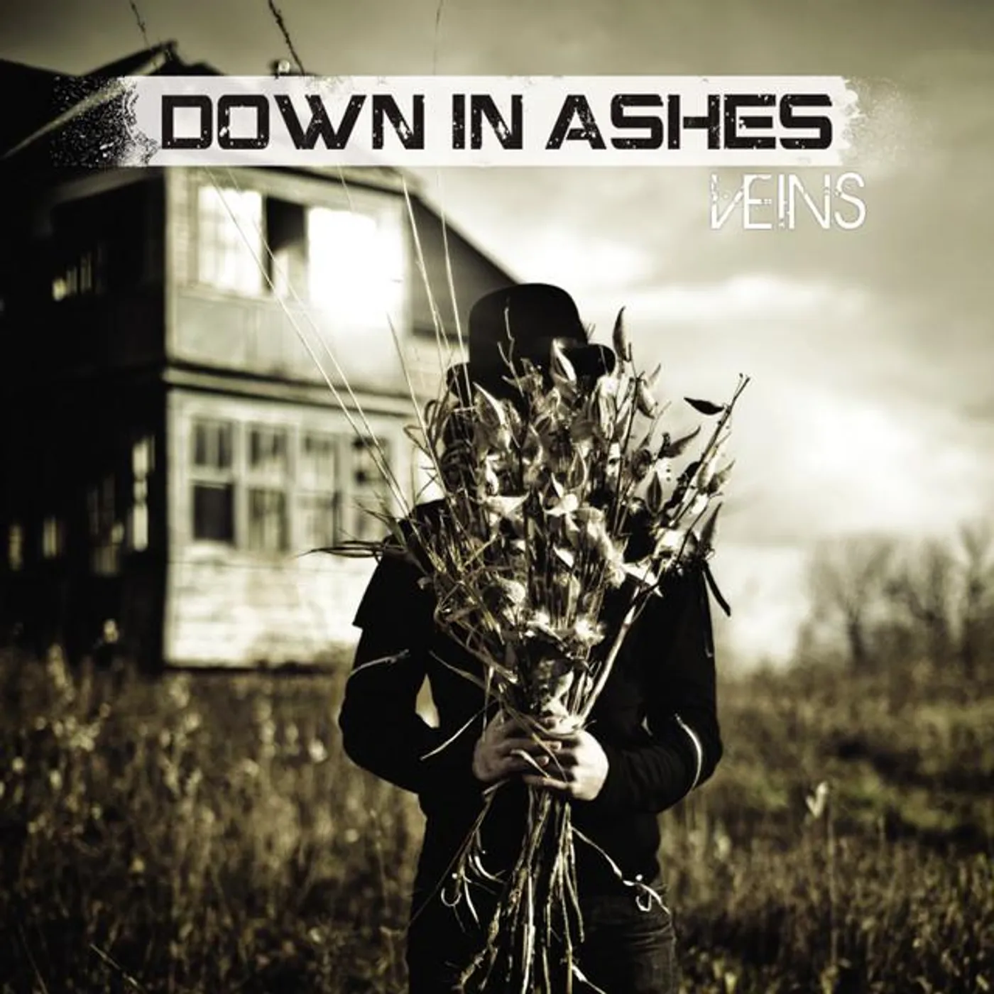 Down In Ashes Brand Page