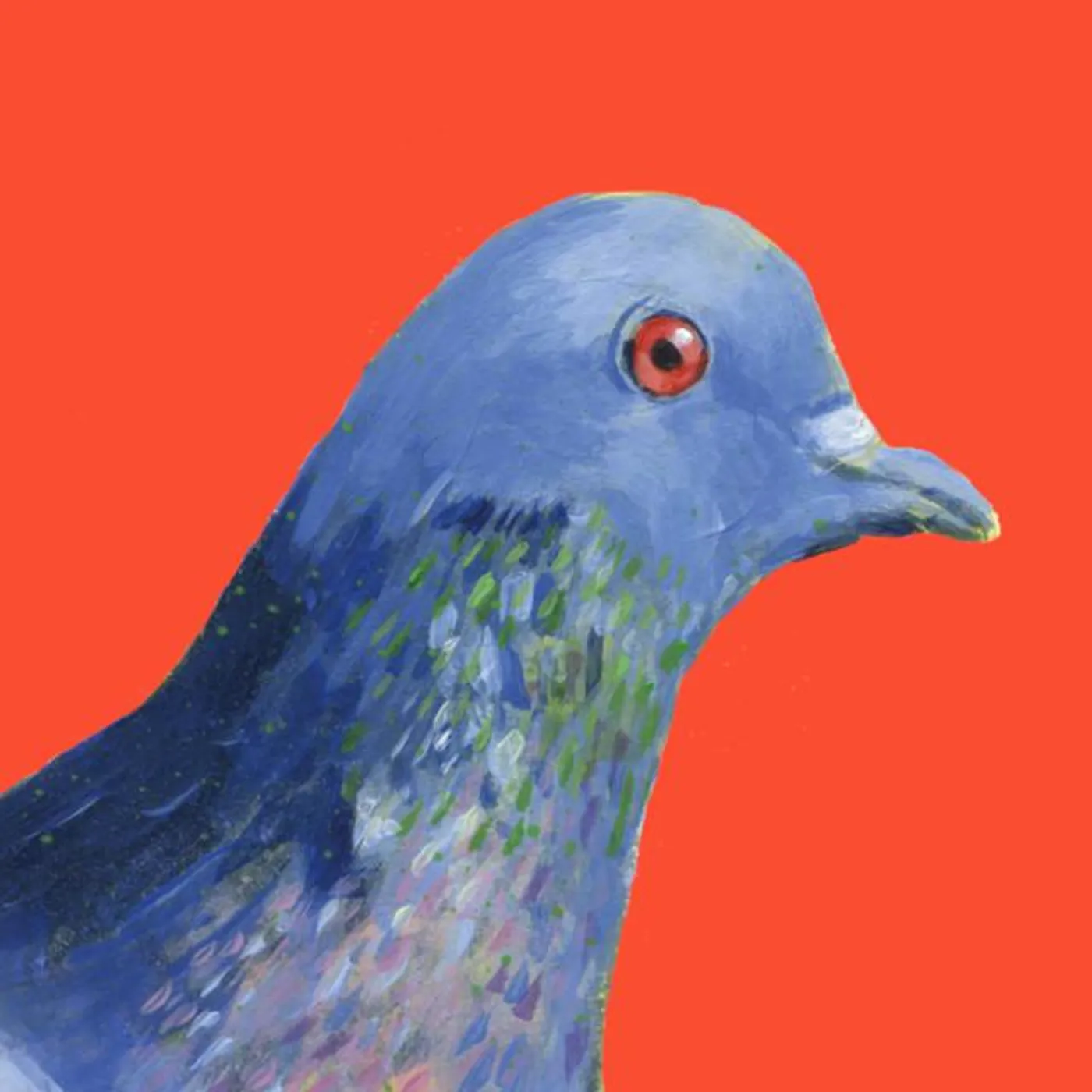 Doble Pletina Brand Page