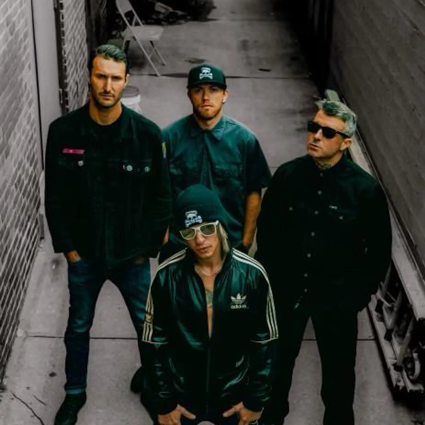 Doc Rotten Brand Page