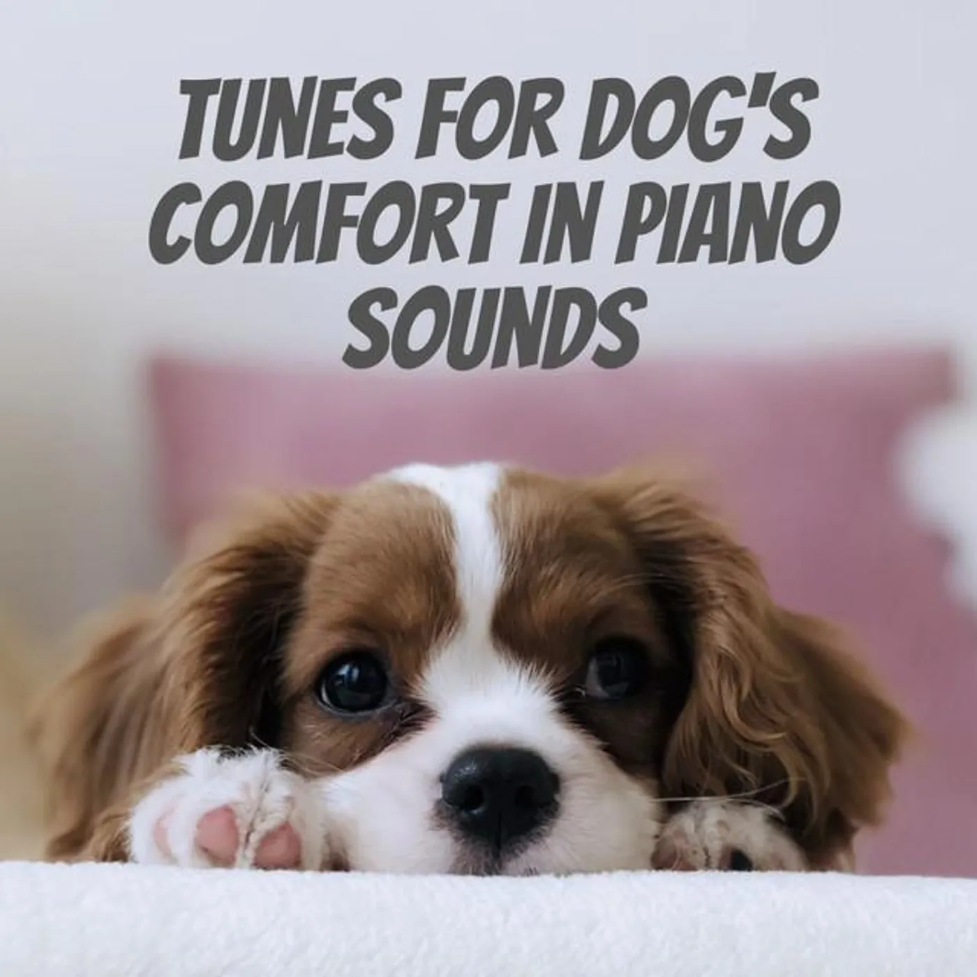 Dogs music Brand Page