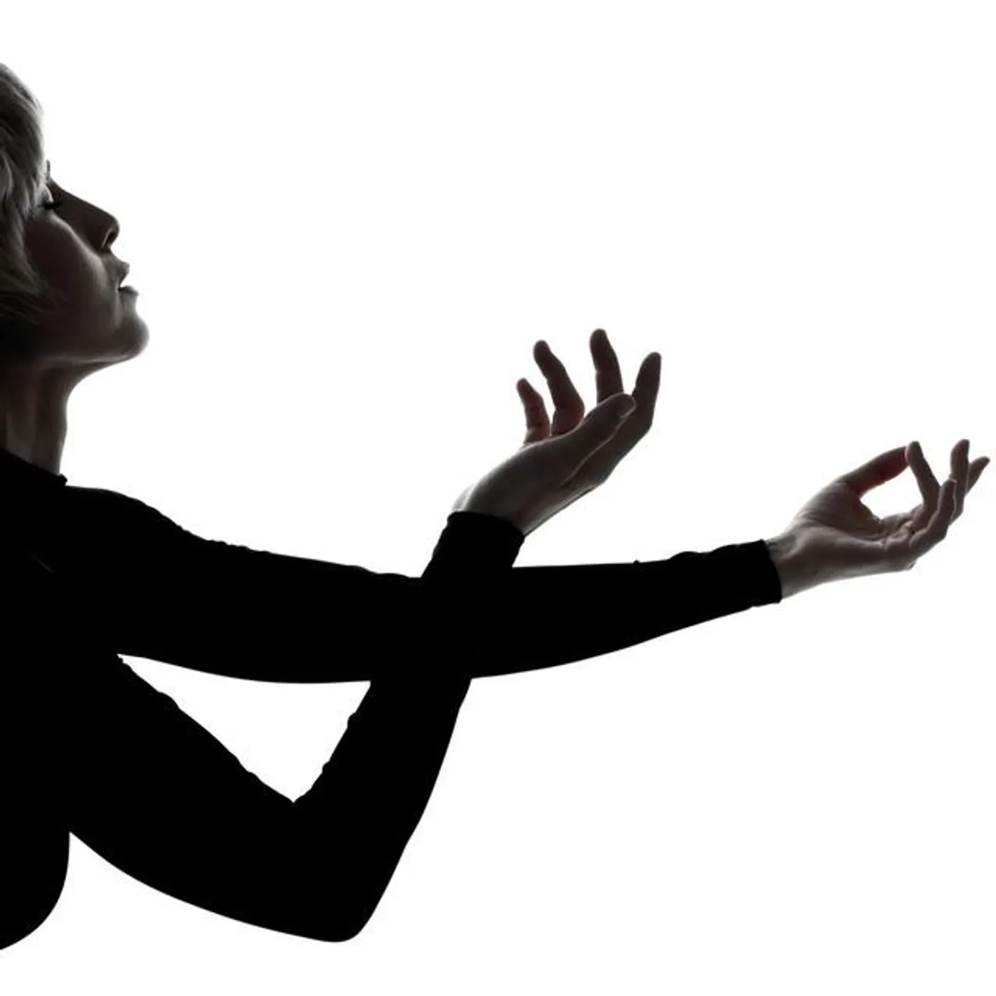 Dojo Cuts Brand Page