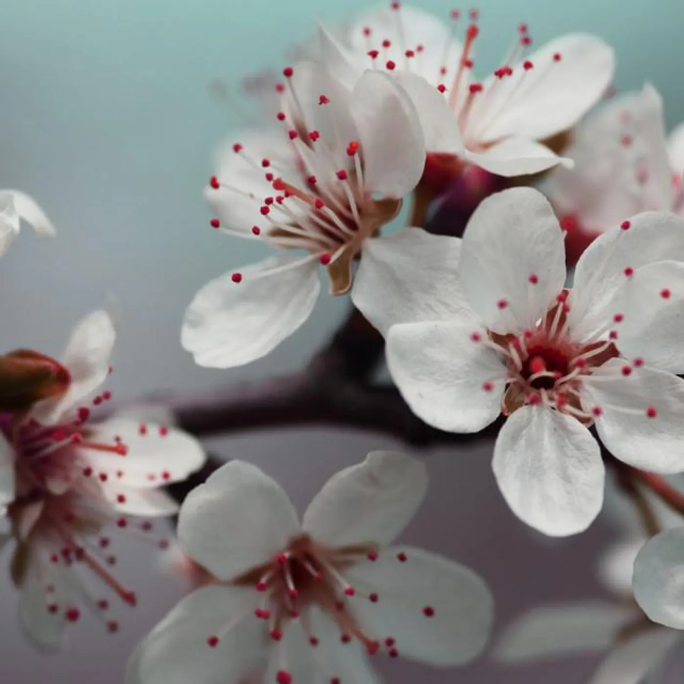 Dolittlebeats Brand Page