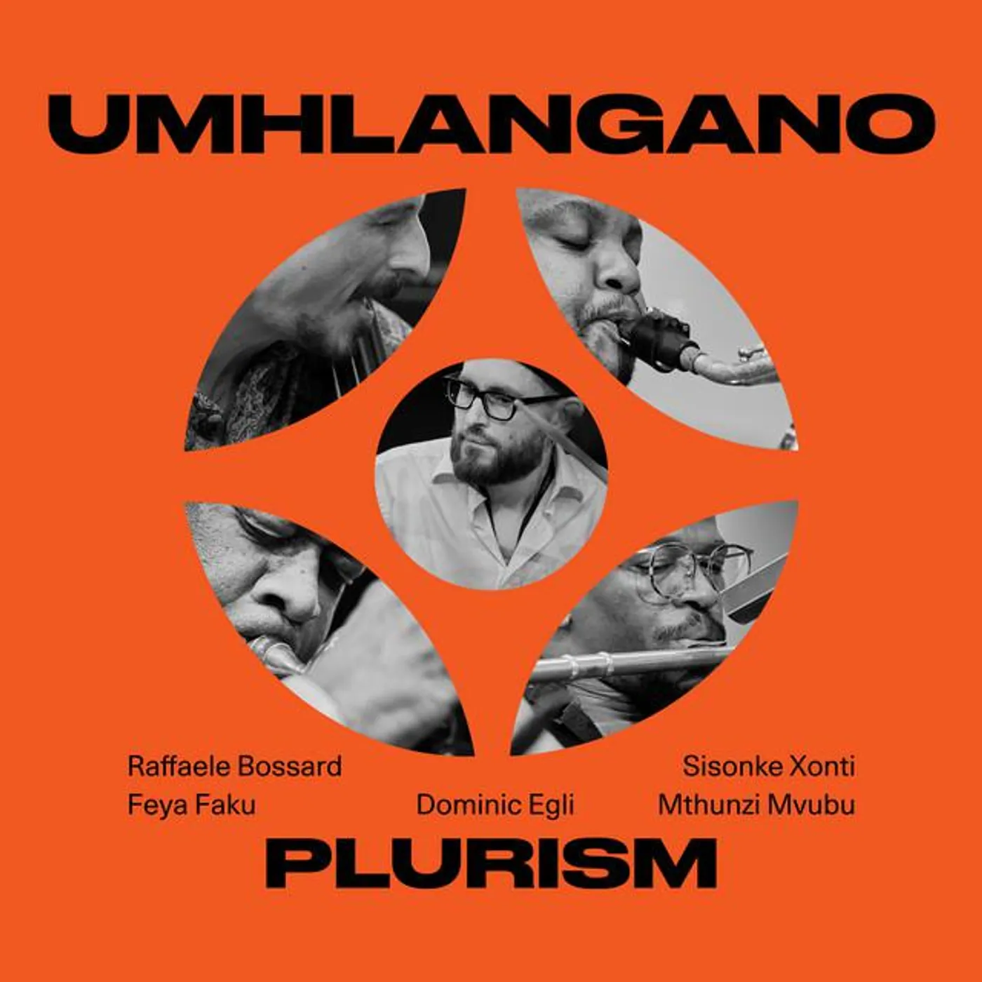 Dominic Egli's PLURISM
