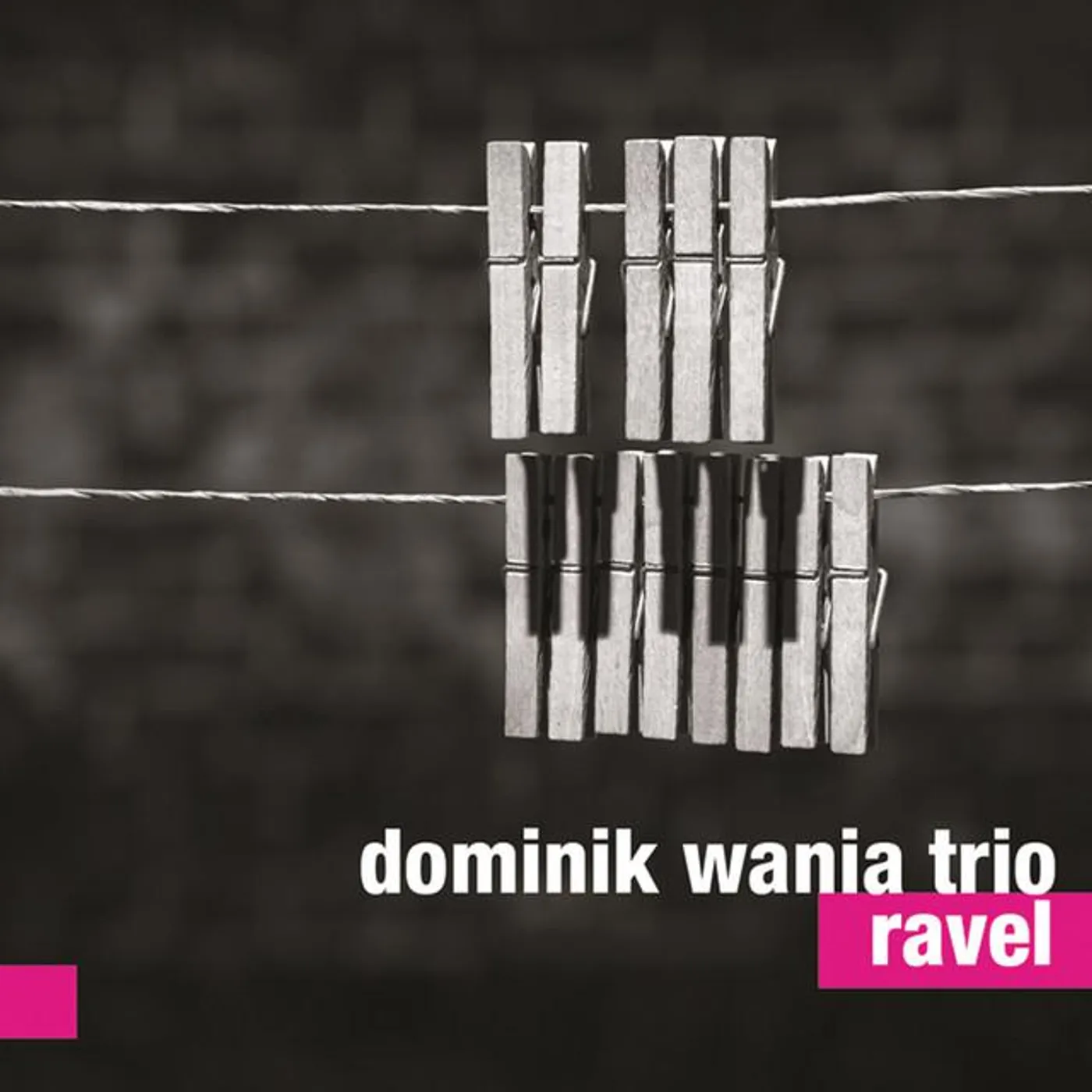 Dominik Wania Trio