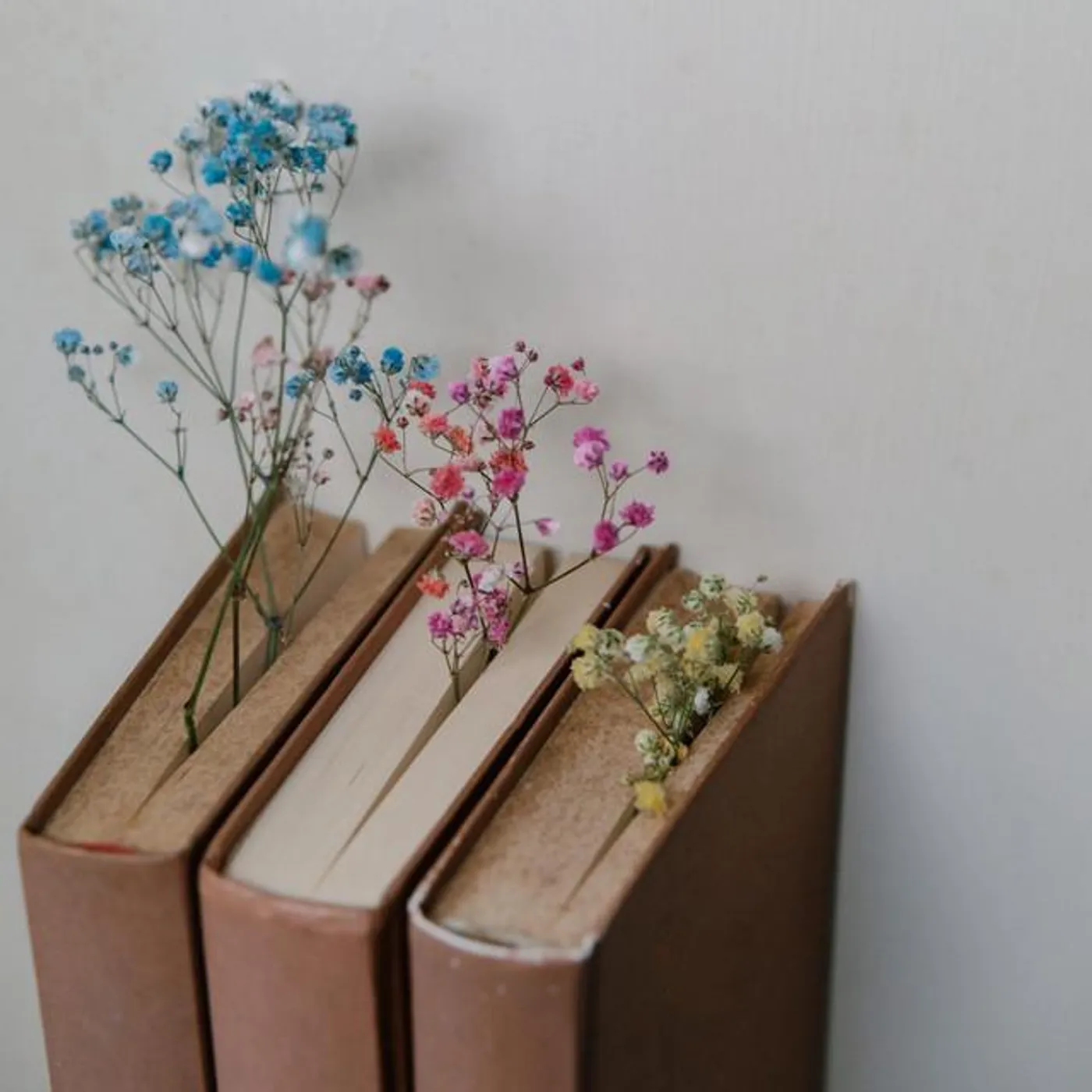 Donny Livingston Brand Page