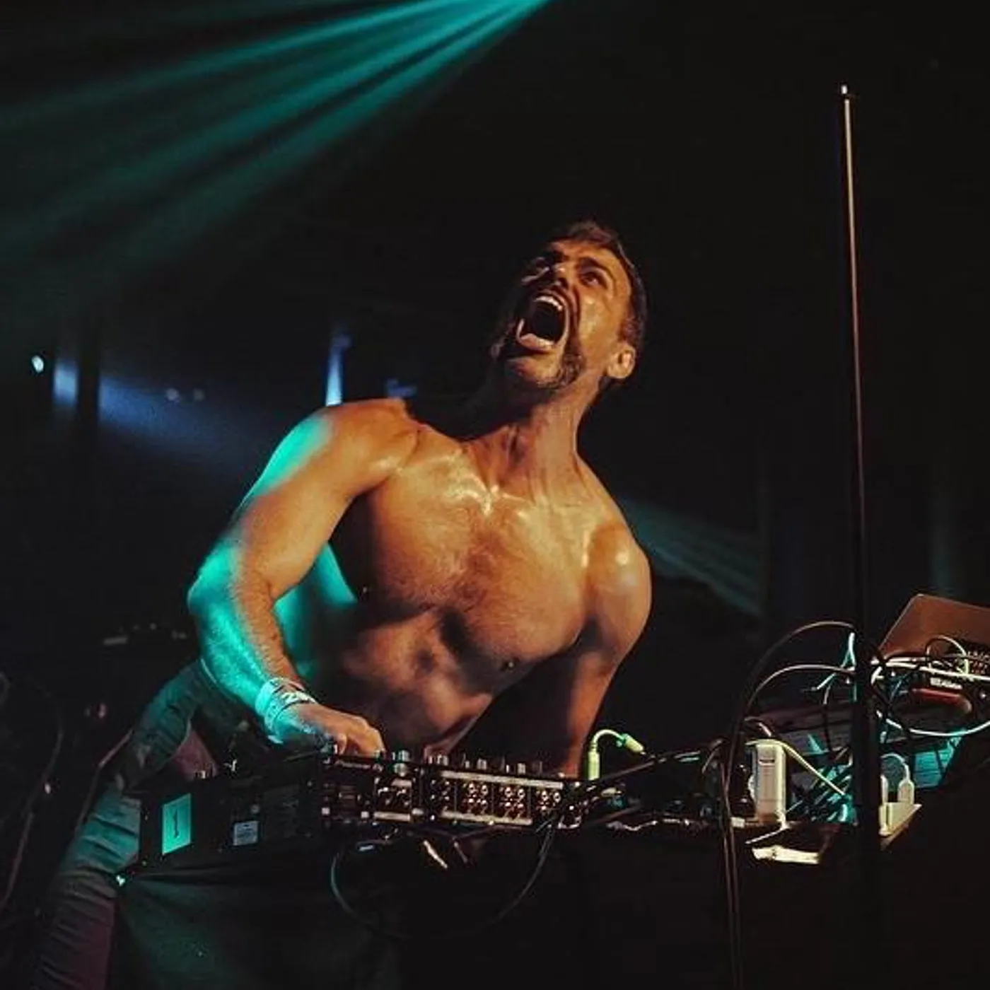 Doormouse Brand Page