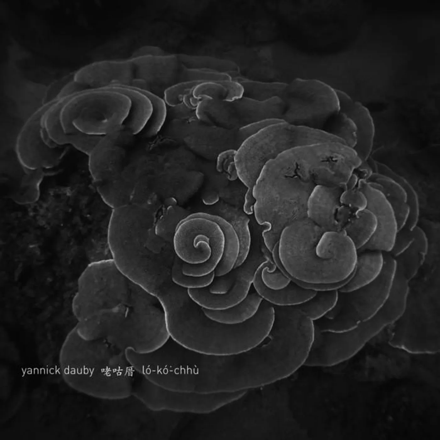 Yannick Dauby Brand Page