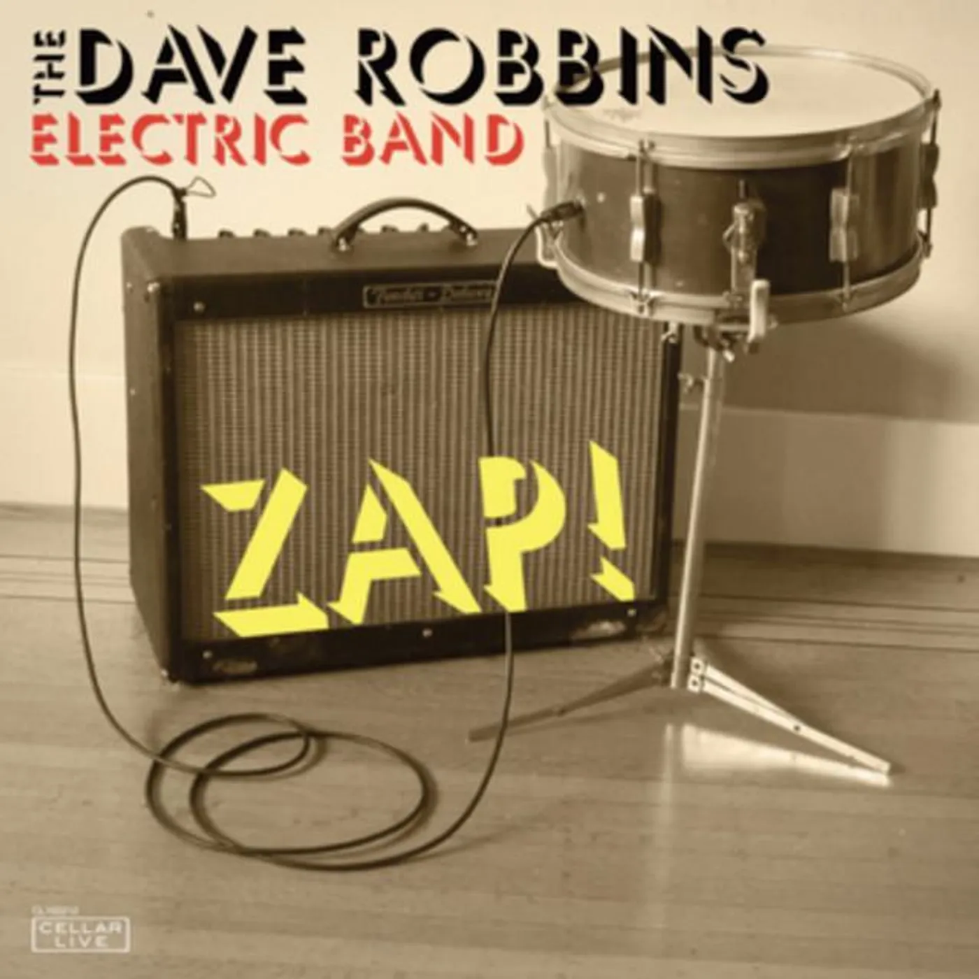 Dave Robbins Electric Band