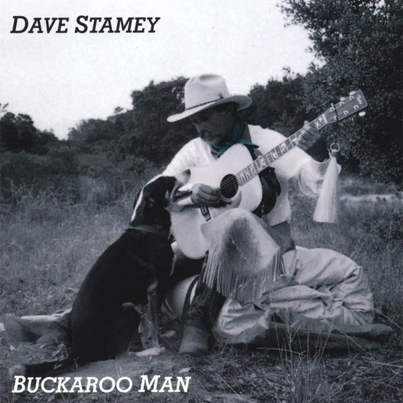 Dave Stamey Brand Page