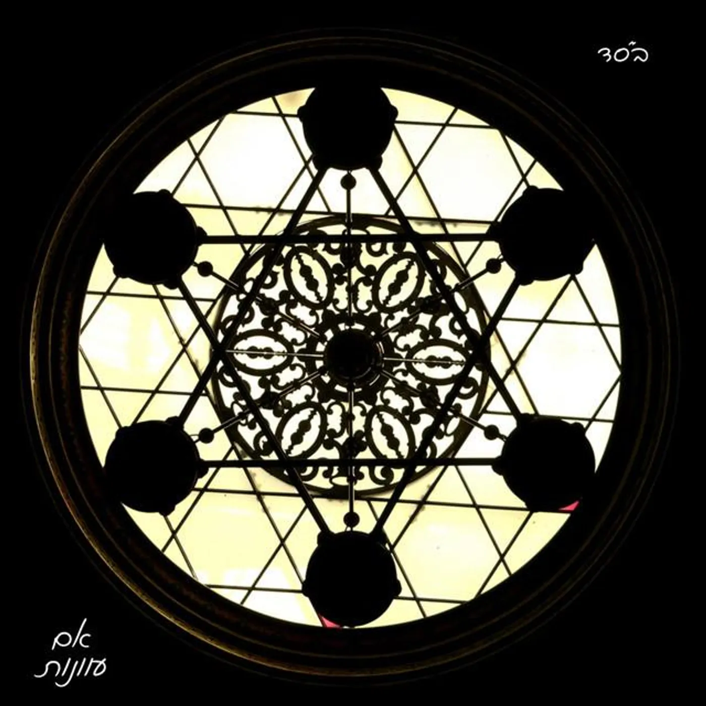 Davi Shiff Brand Page