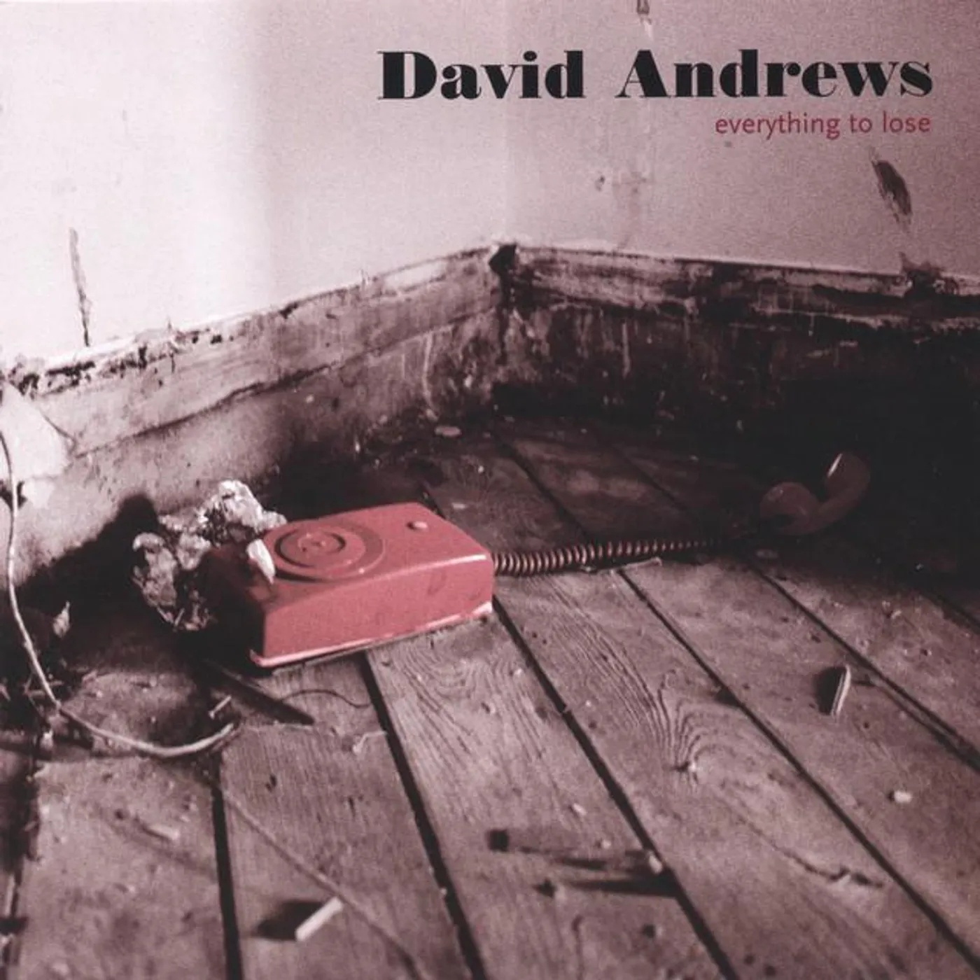 David Andrews Brand Page