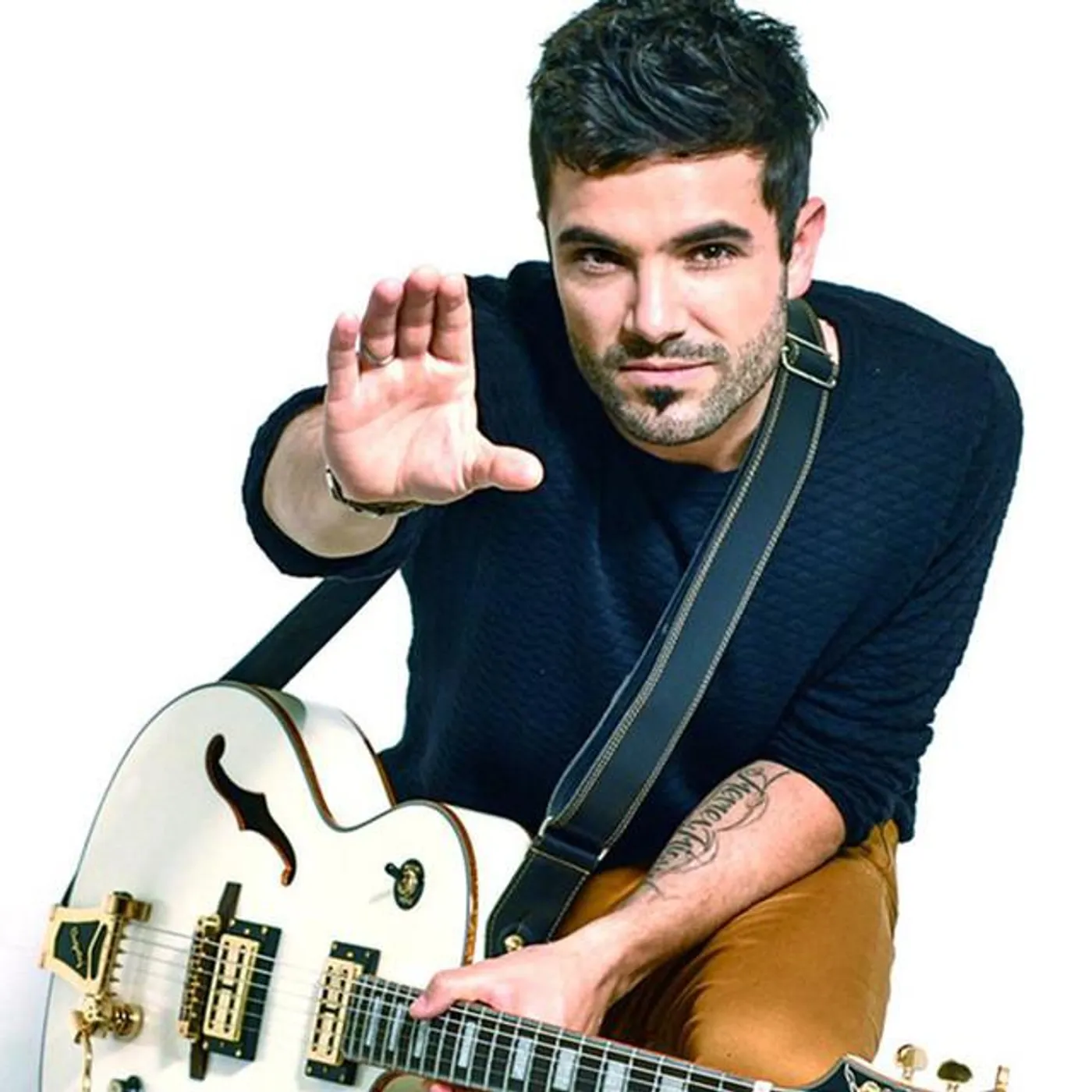 David Bolzoni Brand Page