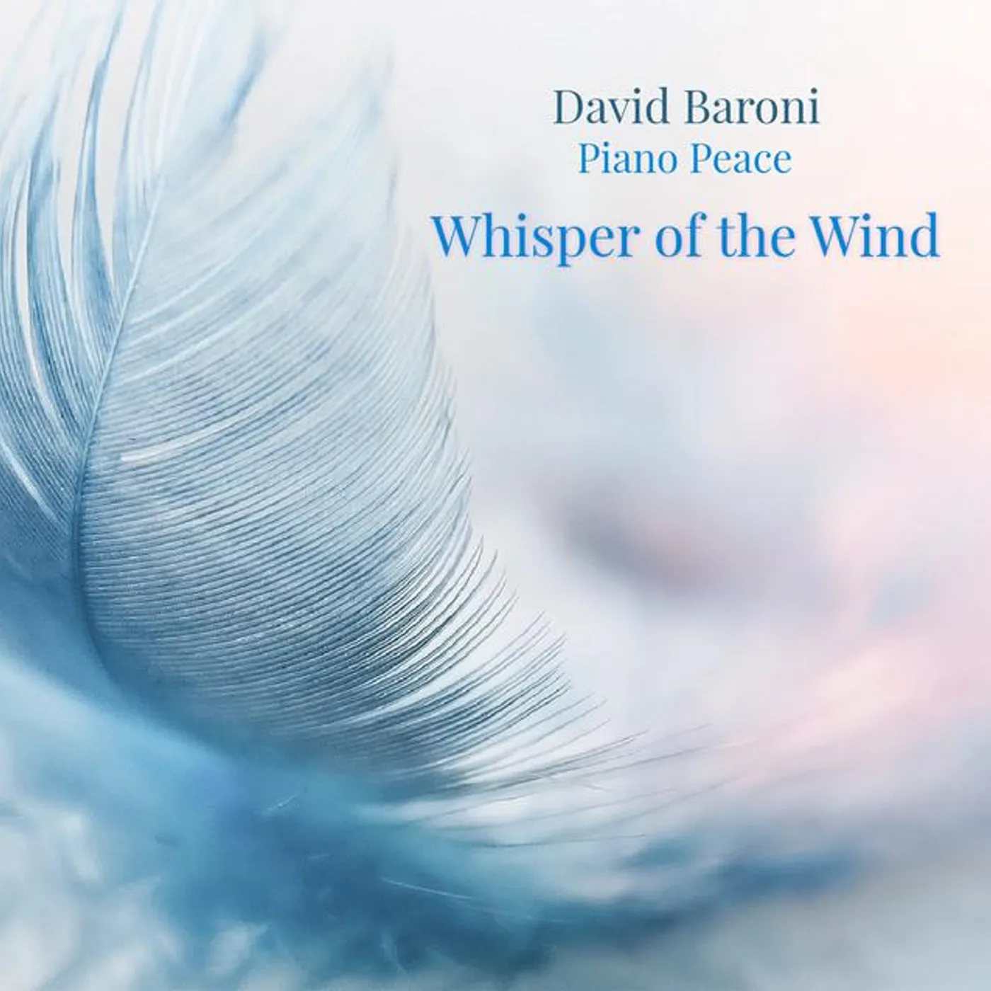 David Baroni Brand Page