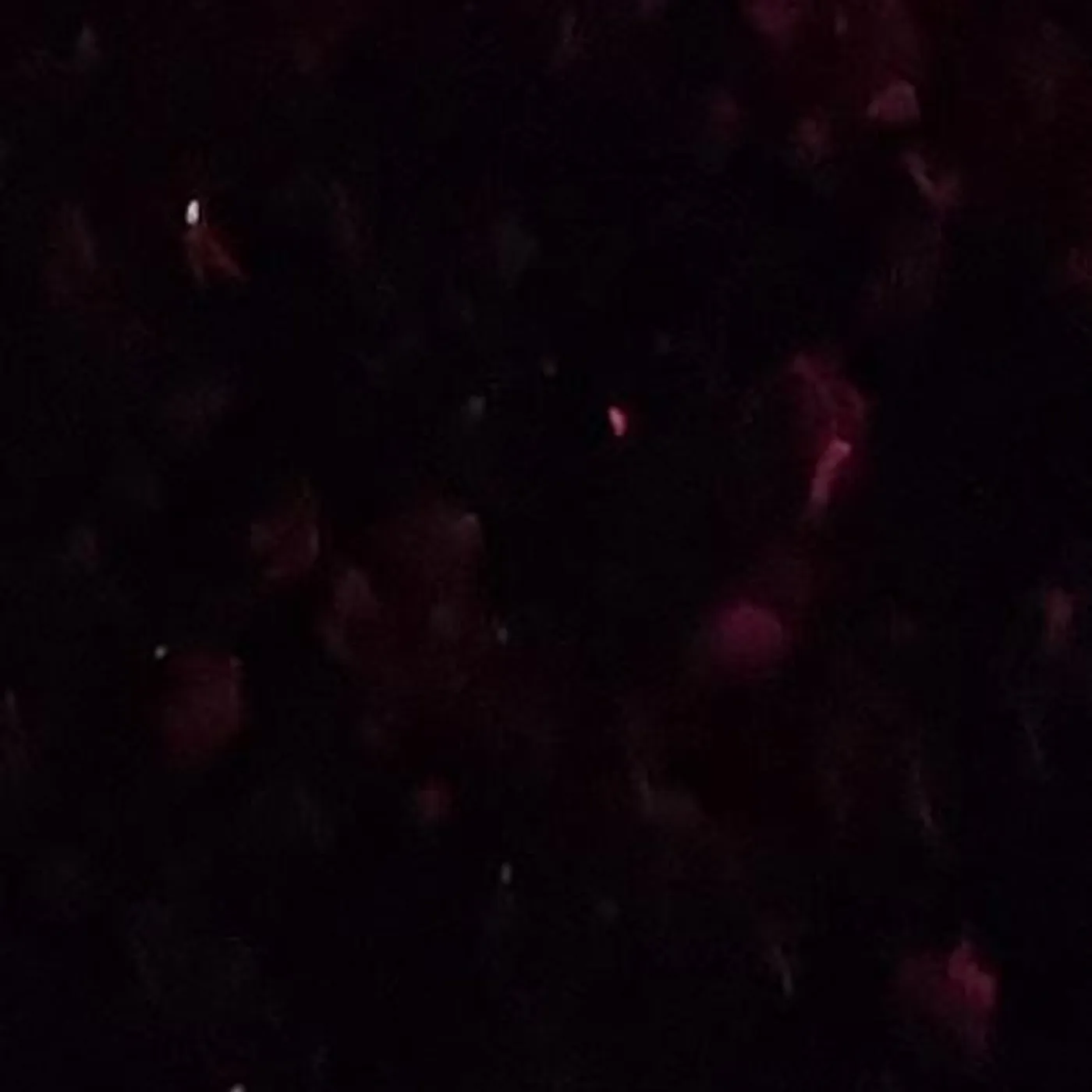 David Barnes Brand Page