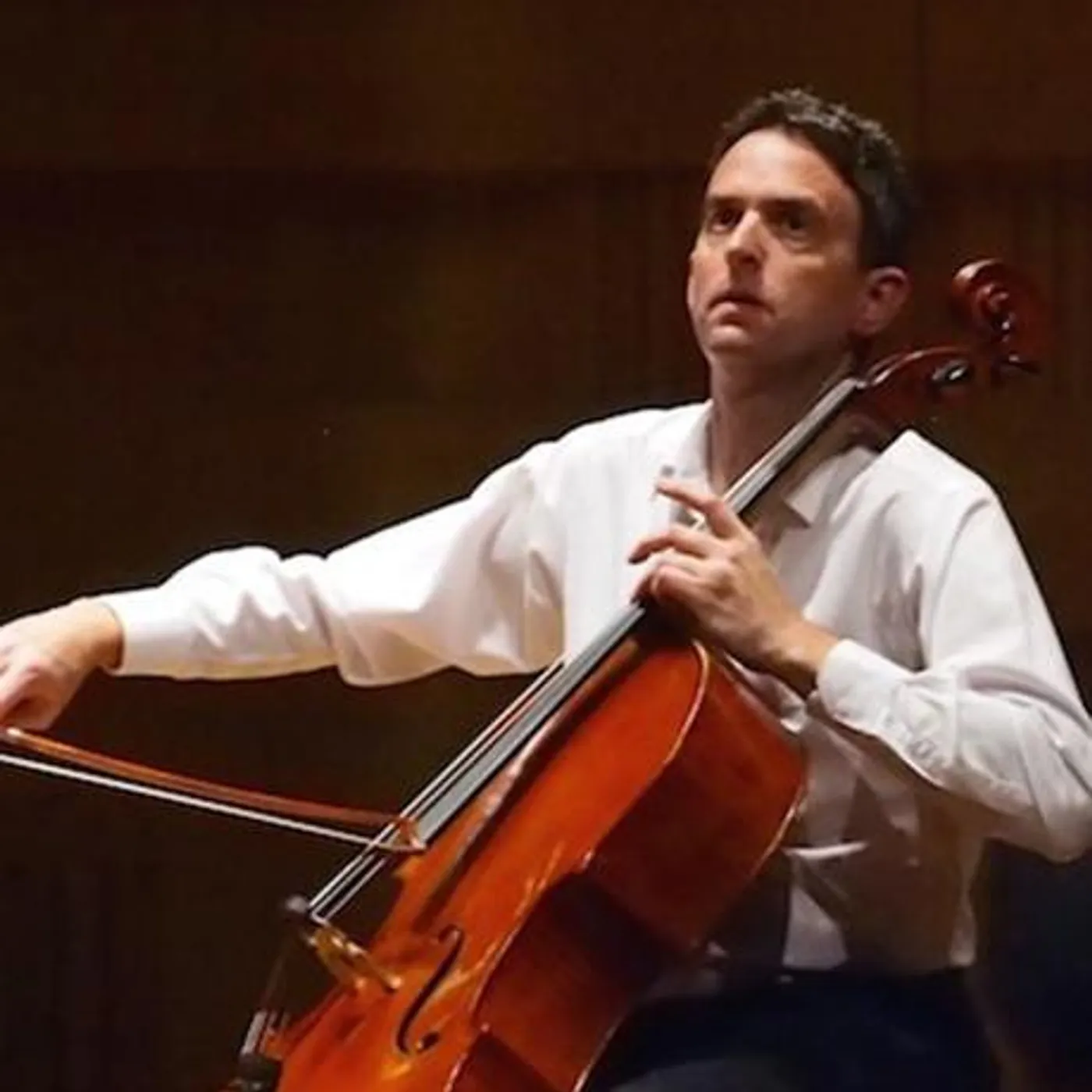 David Berlin Brand Page