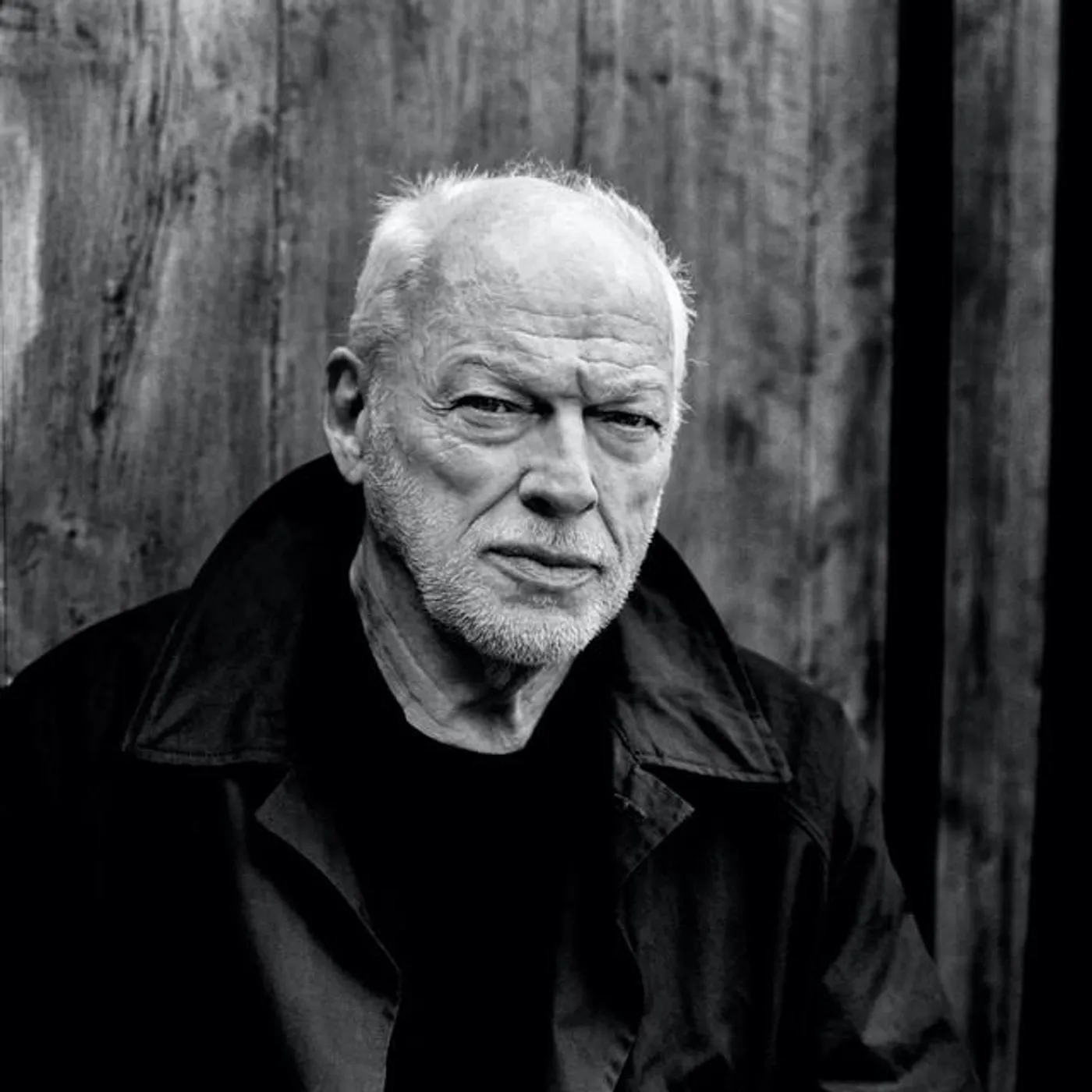 David Gilmour Brand Page