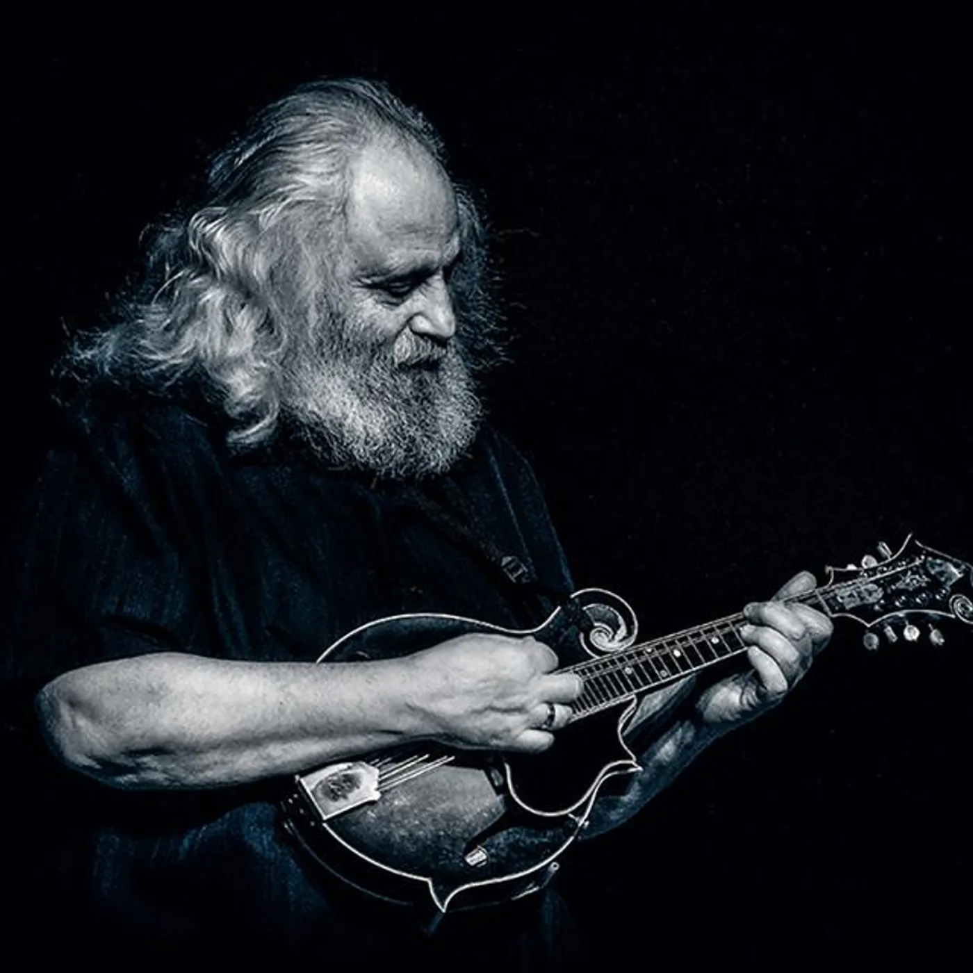 David Grisman Brand Page