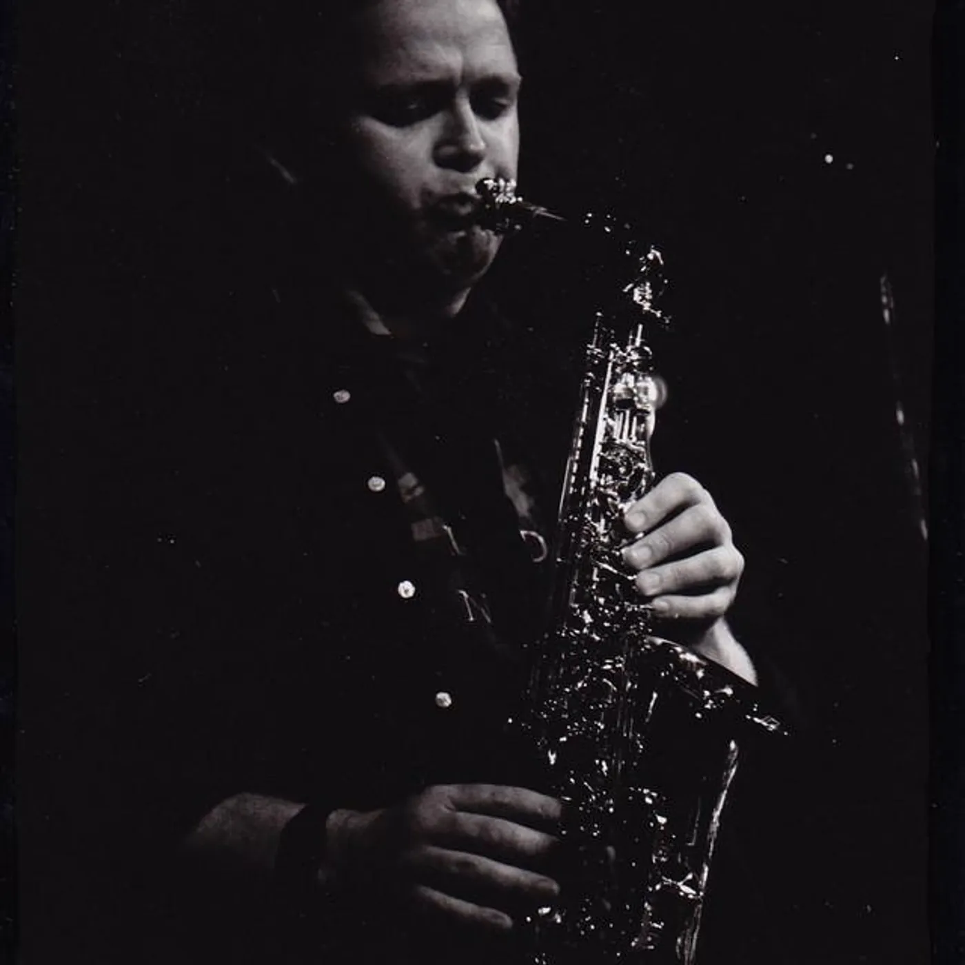 David Fitzgerald Brand Page