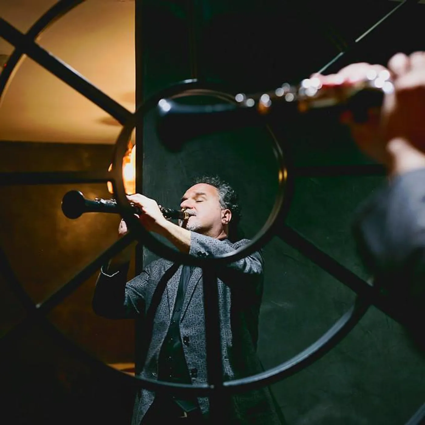 David Krakauer Brand Page