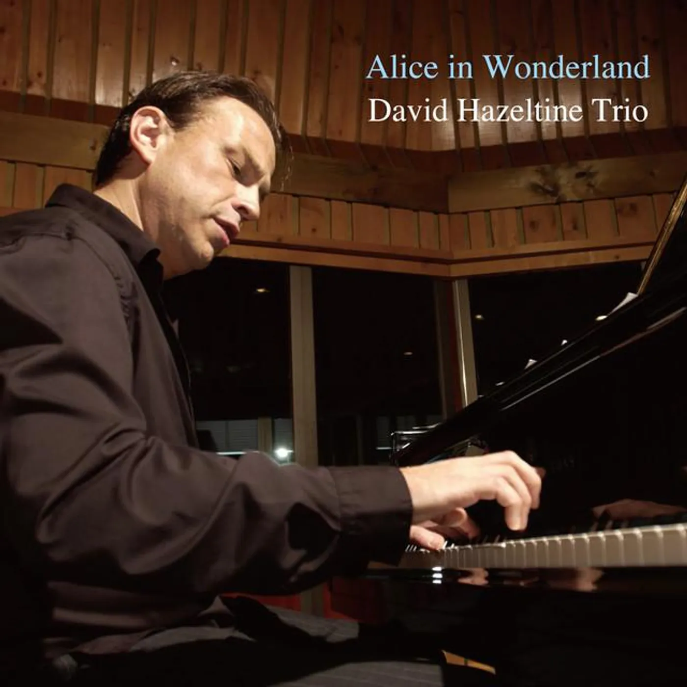 David Hazeltine Trio Brand Page