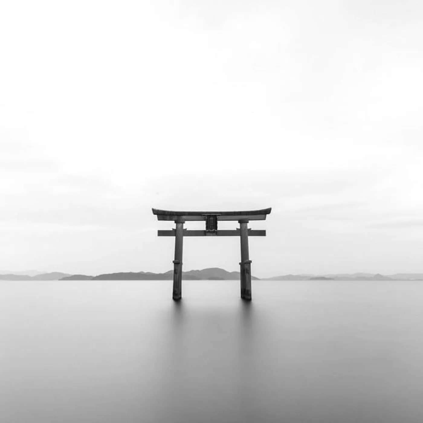 David Moros Brand Page