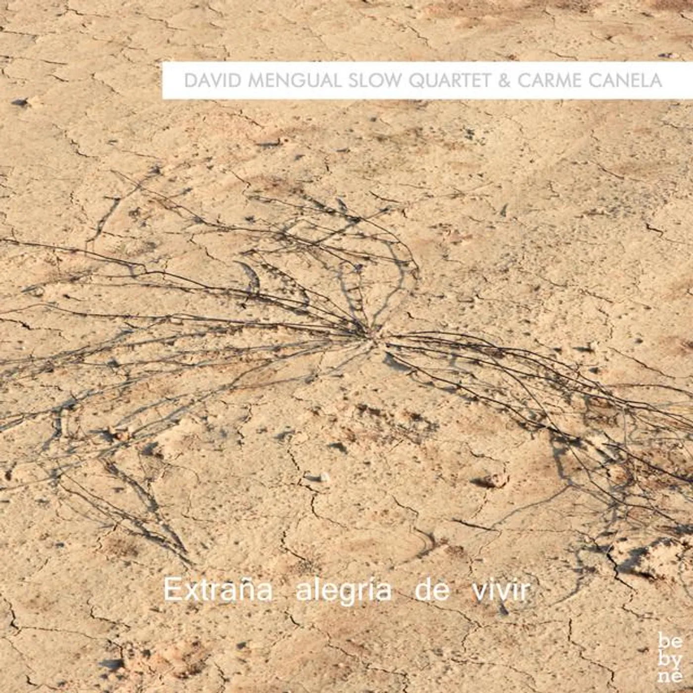 David Mengual Slow Quartet