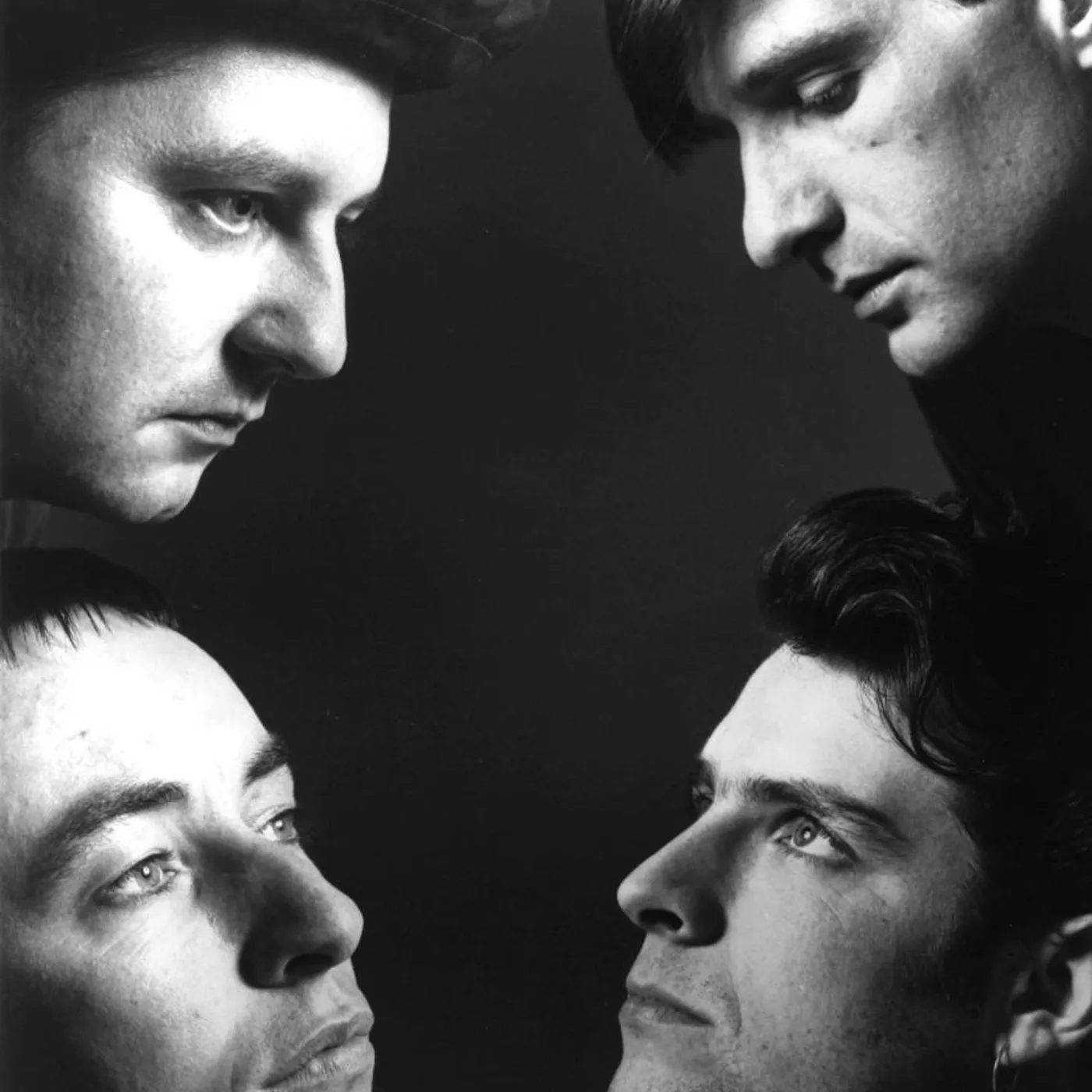 David Newton Brand Page