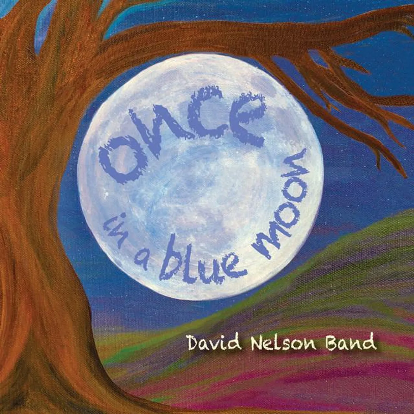 David Nelson Band Brand Page