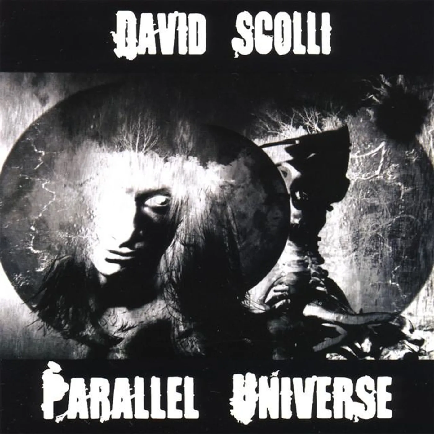 David Scolli