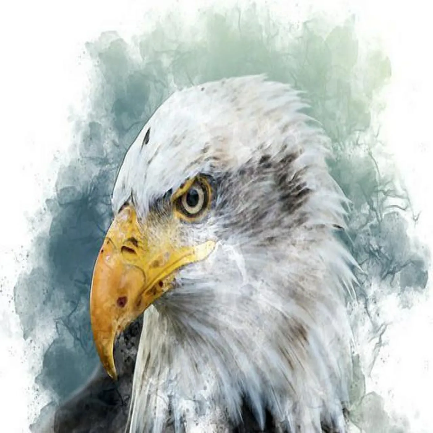 David Spillane Brand Page