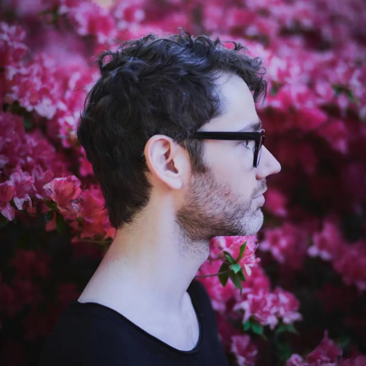 David Peacock Brand Page