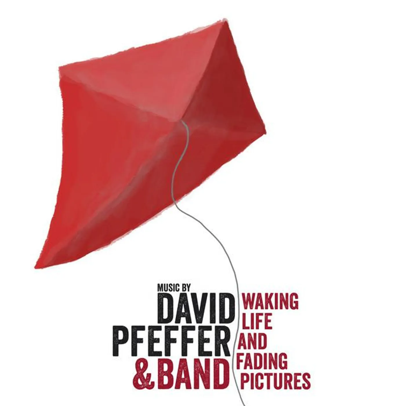 David Pfeffer & Band Brand Page