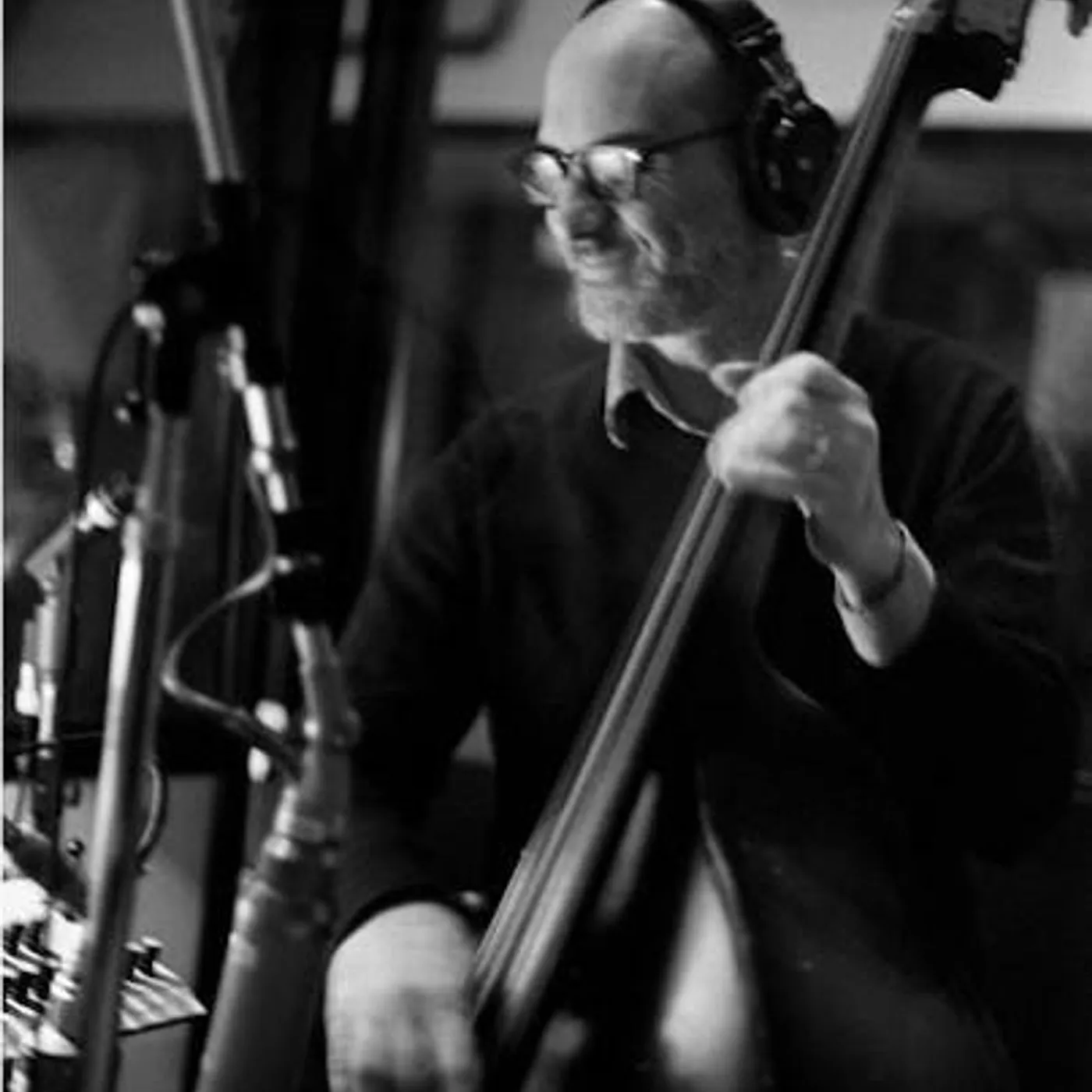 David Piltch Brand Page