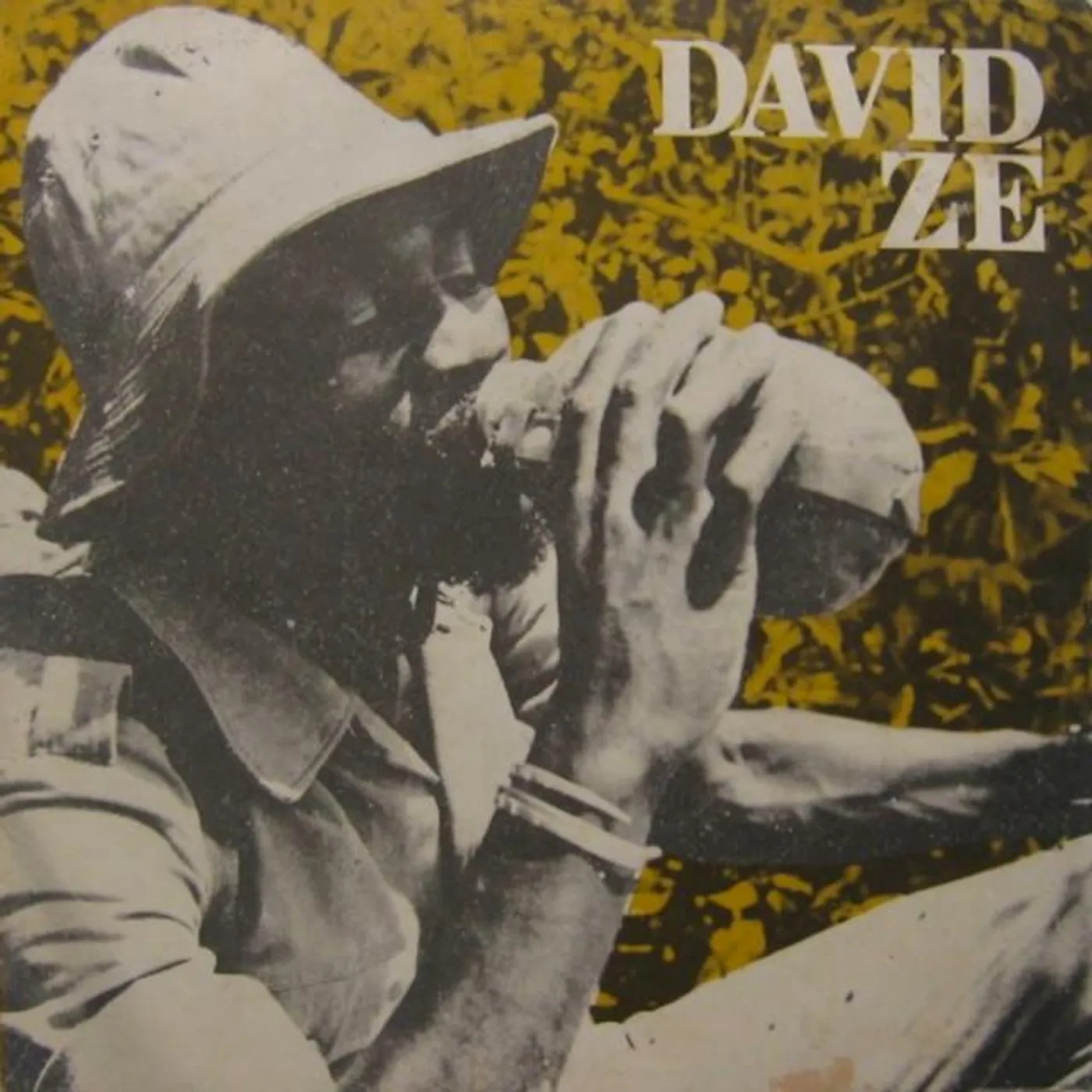 David Zé Brand Page