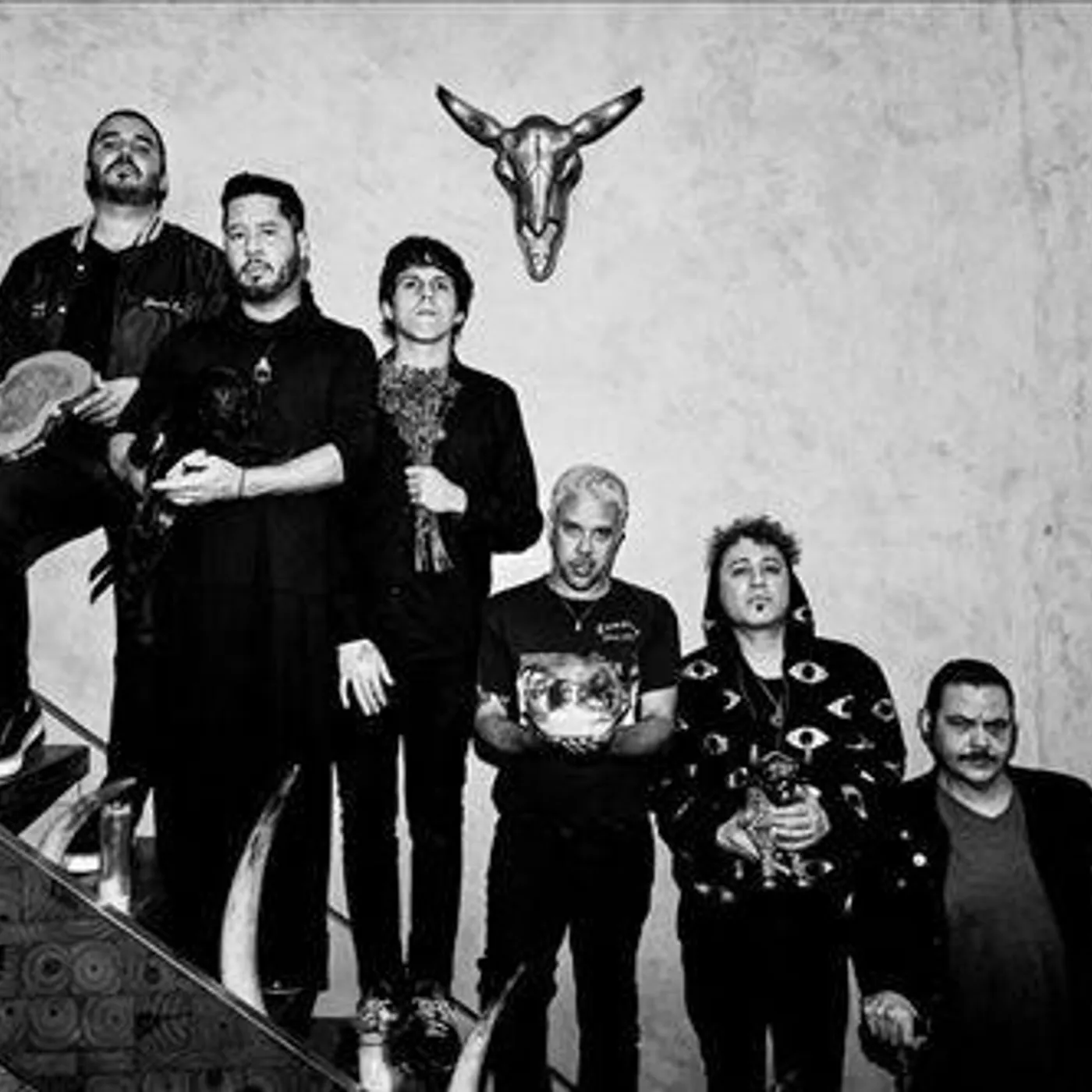 Davila 666 Brand Page