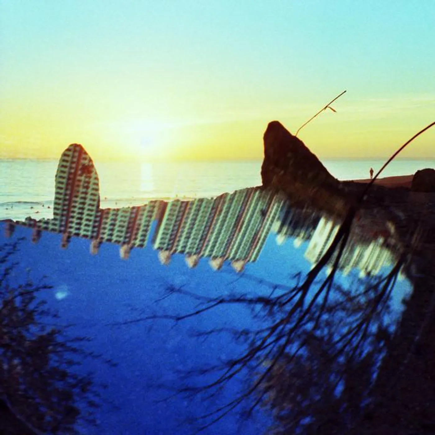 Dawn Chorus Ignites Brand Page