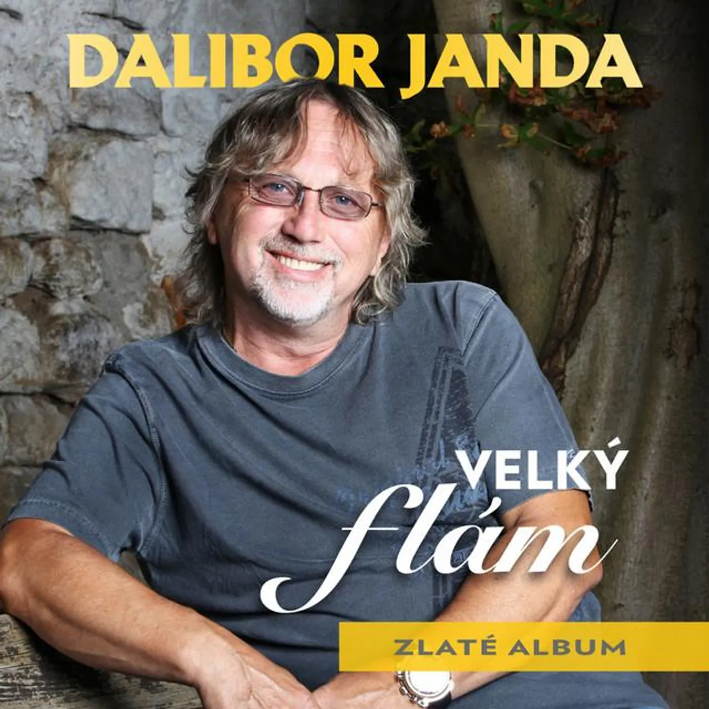 Dalibor Janda Brand Page