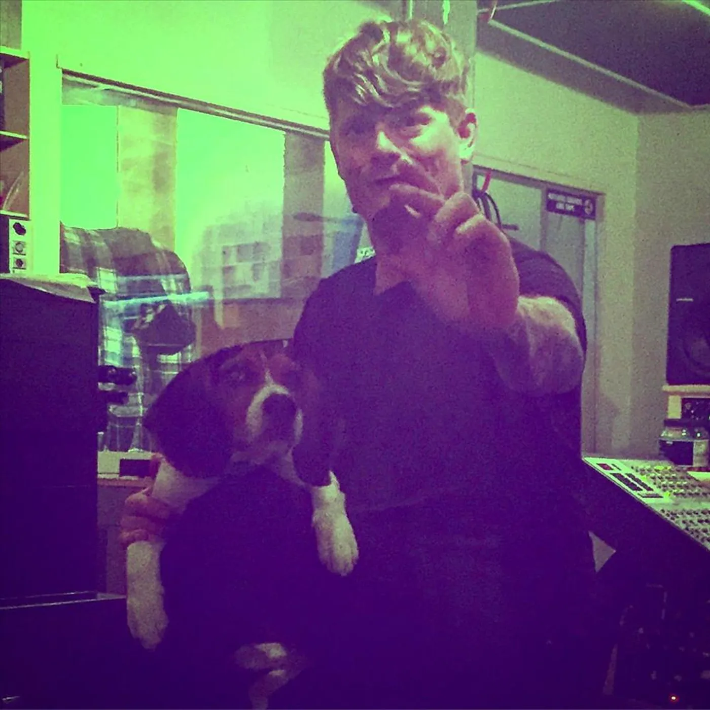 Damaged Bug Brand Page