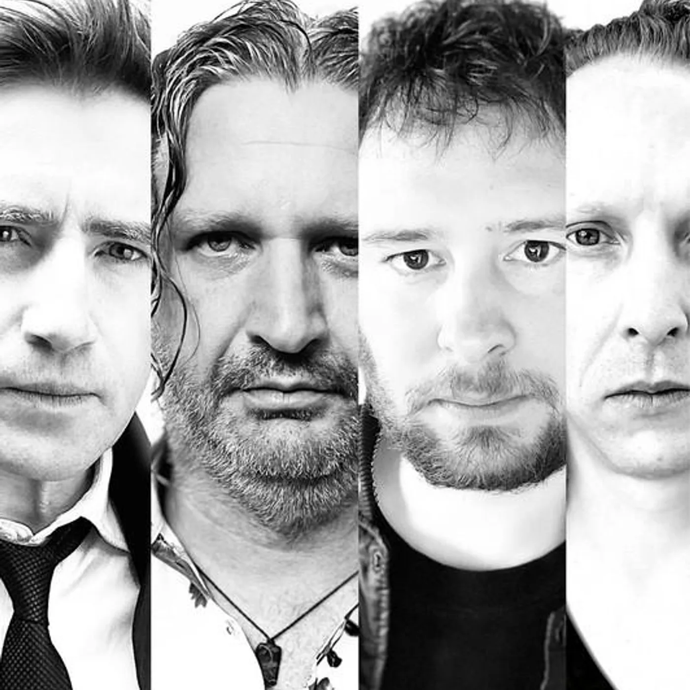 The Damnwells Brand Page