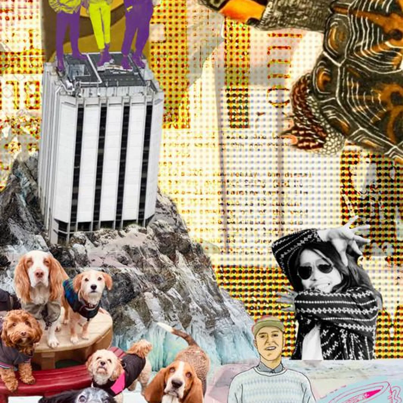 Damo Suzuki Brand Page