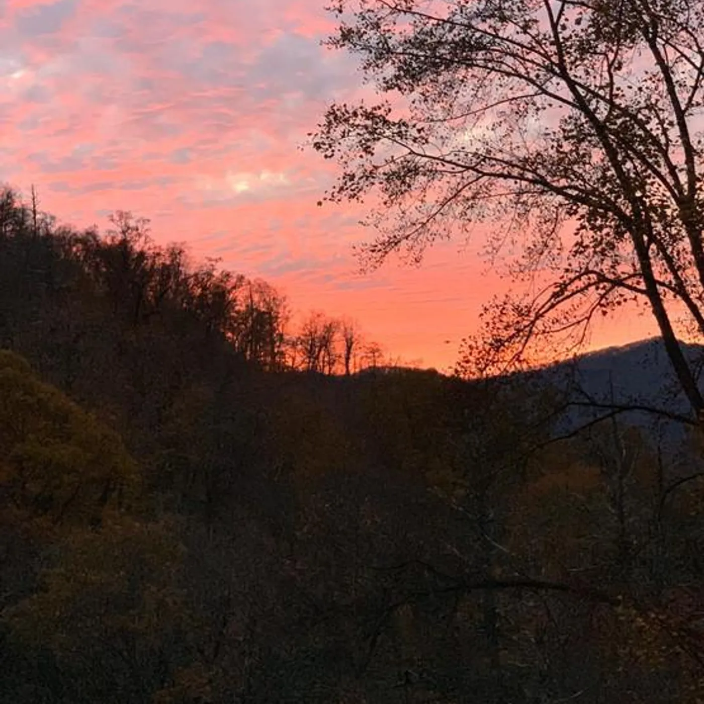 Dan Bankhurst Brand Page