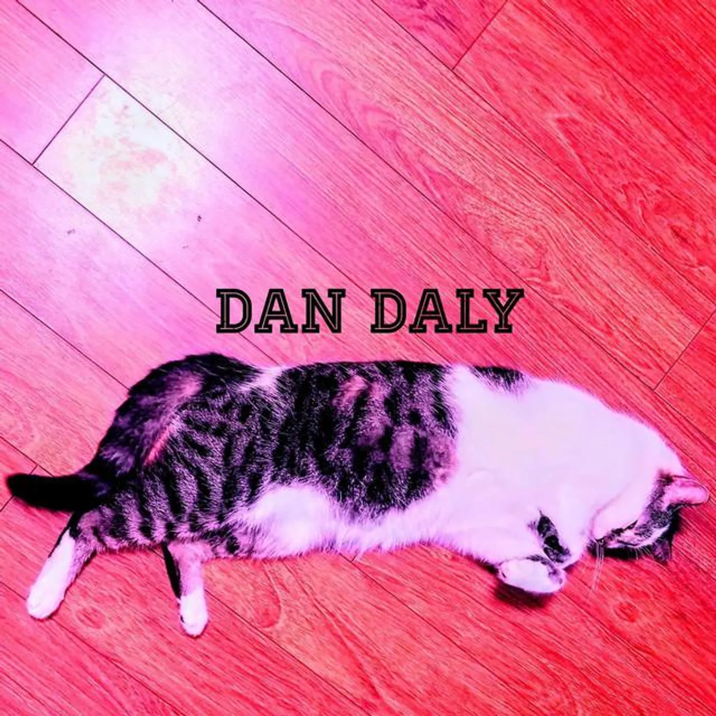 Dan Daly