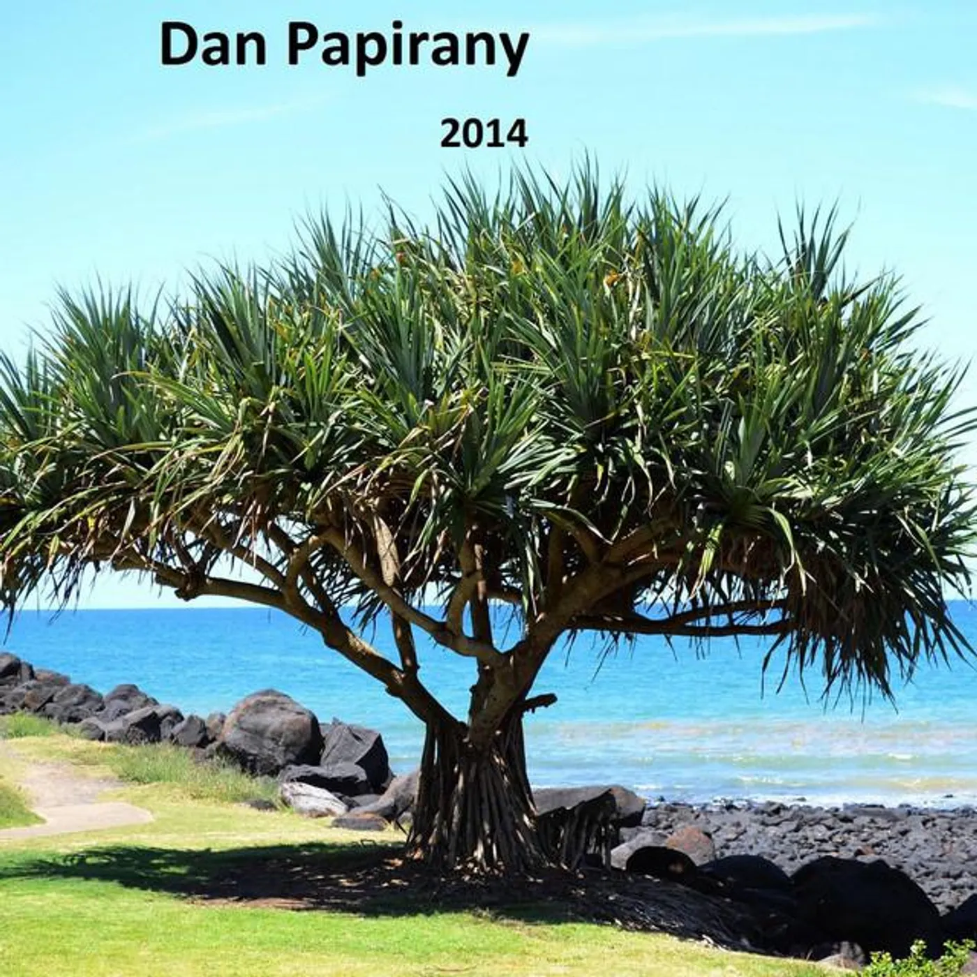 Dan Papirany